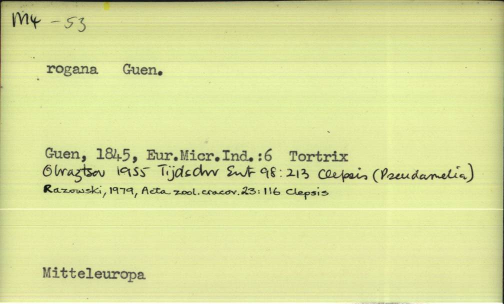 front of card